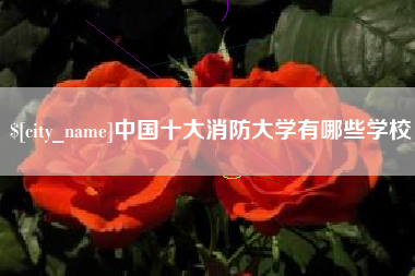 柳州中国十大消防大学有哪些学校