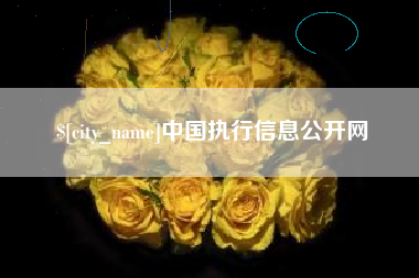 柳州中国执行信息公开网