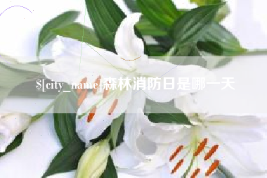 柳州森林消防日是哪一天