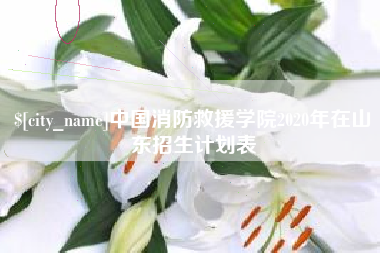 柳州中国消防救援学院2020年在山东招生计划表