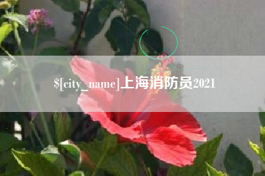 柳州上海消防员2021