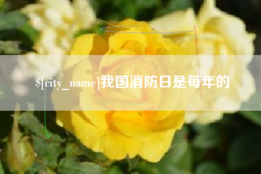 柳州我国消防日是每年的