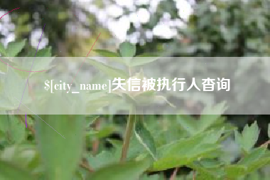 柳州失信被执行人杳询
