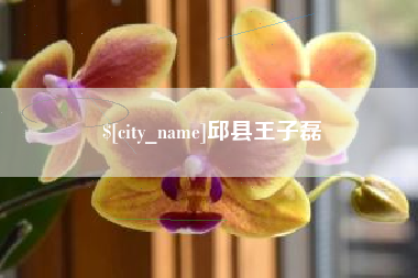 柳州邱县王子磊
