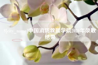 柳州中国消防救援学院2020年录取结果