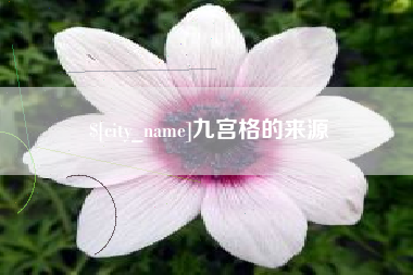 柳州九宫格的来源