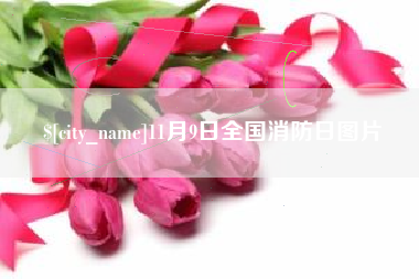 柳州11月9日全国消防日图片
