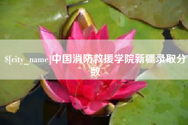 柳州中国消防救援学院新疆录取分数