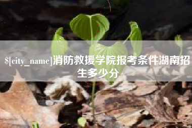 柳州消防救援学院报考条件湖南招生多少分
