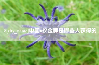 柳州中国6枚金牌是哪些人获得的