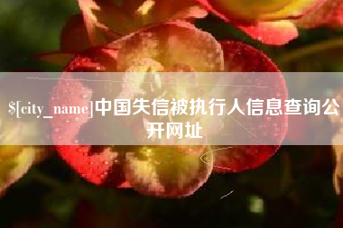 柳州中国失信被执行人信息查询公开网址