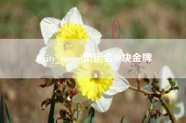 柳州奥运会39块金牌