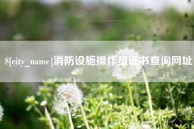 柳州消防设施操作员证书查询网址
