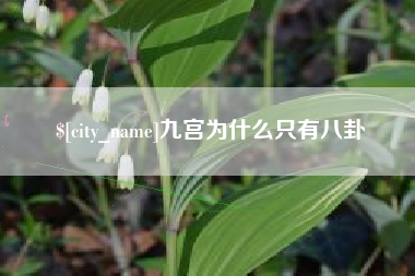 柳州九宫为什么只有八卦