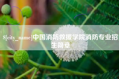 柳州中国消防救援学院消防专业招生简章