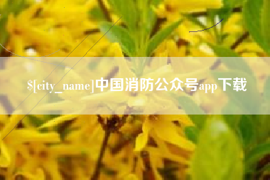柳州中国消防公众号app下载