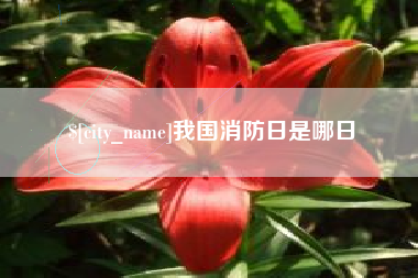 柳州我国消防日是哪日