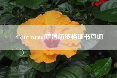 柳州查消防资格证书查询