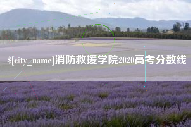 柳州消防救援学院2020高考分数线