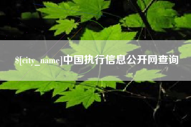 柳州中国执行信息公开网查询