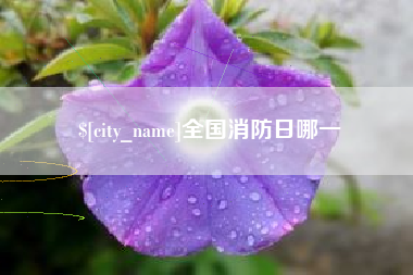 柳州全国消防日哪一