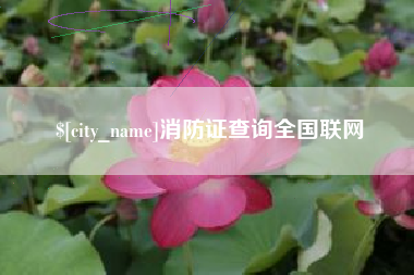 柳州消防证查询全国联网