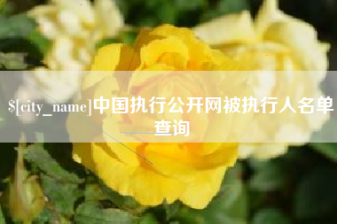 柳州中国执行公开网被执行人名单查询