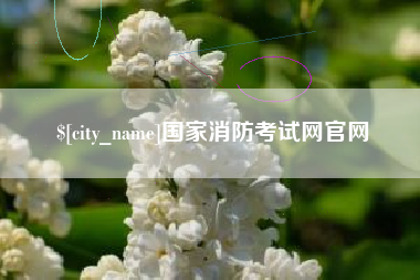 柳州国家消防考试网官网