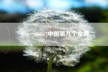 柳州中国第九个金牌