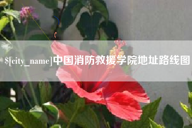 柳州中国消防救援学院地址路线图