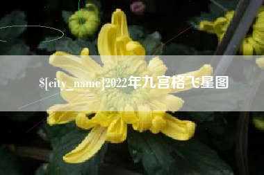 柳州2022年九宫格飞星图