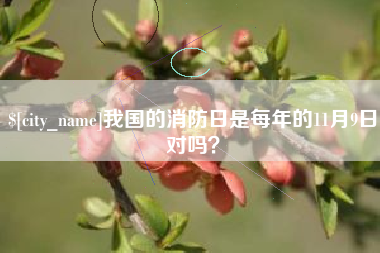 柳州我国的消防日是每年的11月9日对吗？