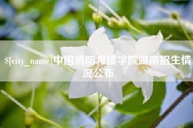 柳州中国消防救援学院湖南招生情况公布