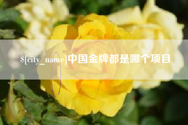 柳州中国金牌都是哪个项目