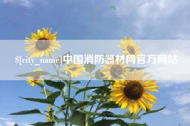 柳州中国消防器材网官方网站