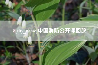 柳州中国消防公开课回放
