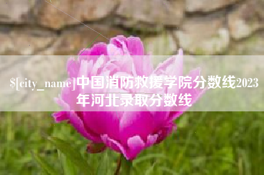 柳州中国消防救援学院分数线2023年河北录取分数线