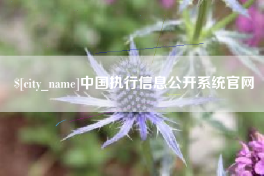柳州中国执行信息公开系统官网