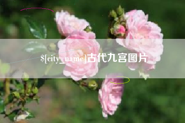 柳州古代九宫图片