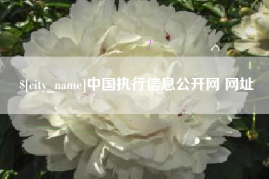 柳州中国执行信息公开网 网址