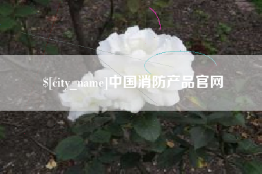 柳州中国消防产品官网