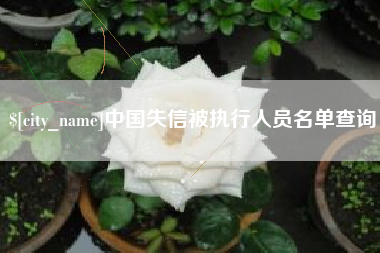 柳州中国失信被执行人员名单查询