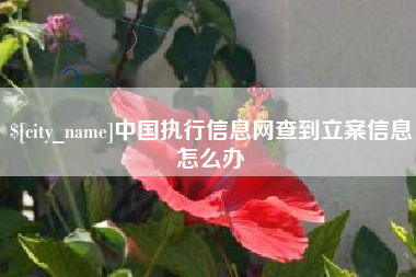 柳州中国执行信息网查到立案信息怎么办
