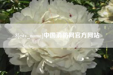 柳州中国消防网官方网站