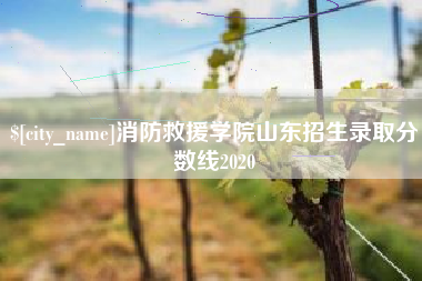 柳州消防救援学院山东招生录取分数线2020