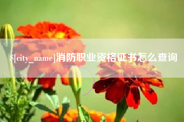 柳州消防职业资格证书怎么查询