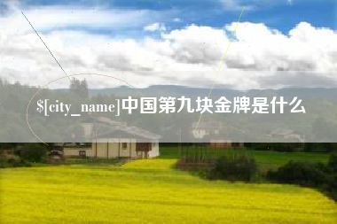 柳州中国第九块金牌是什么