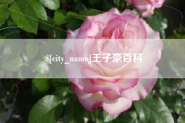 柳州王子豪百科