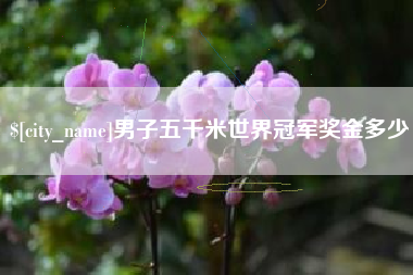 柳州男子五千米世界冠军奖金多少