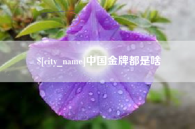 柳州中国金牌都是啥